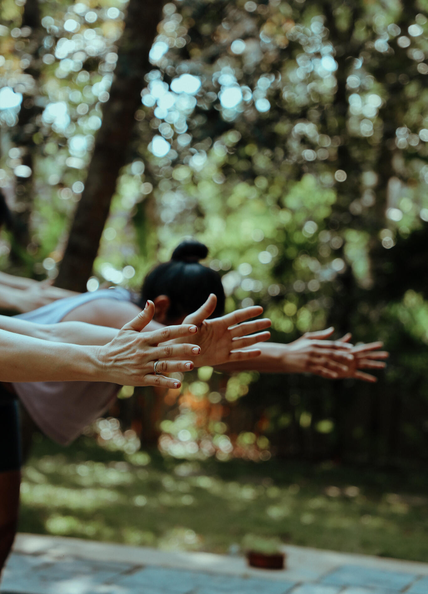 Shiva-Yoga-Training-2026 Learn the art of warrior yoga through the ancestral wisdom of angam pora.